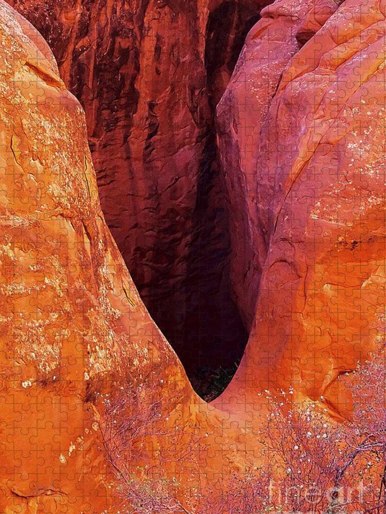 Red Arch Jigsaw Puzzle featuring the photograph Red Arch Wall by Randy Pollard