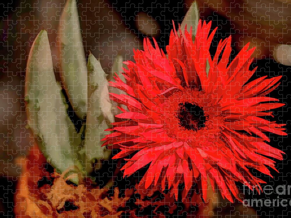 Daisy Jigsaw Puzzle featuring the photograph Red Daisy and The Cactus by Diana Mary Sharpton