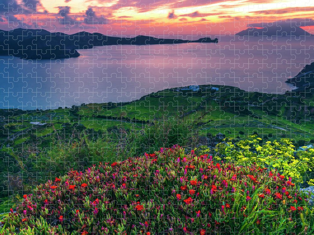 Aegean Sea Jigsaw Puzzle featuring the photograph Red Flowers Of Milos by Evgeni Dinev