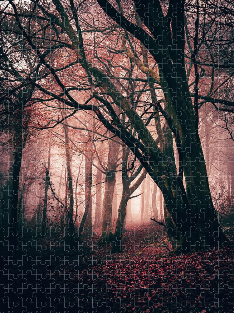 Forest Jigsaw Puzzle featuring the photograph Red Forest by Gavin Lewis