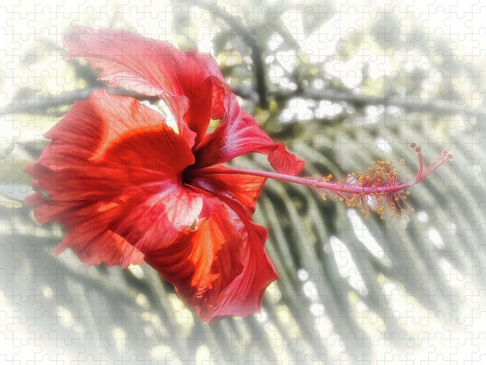 Al Andersen Jigsaw Puzzle featuring the photograph Red Hibiscus 1 by Al Andersen