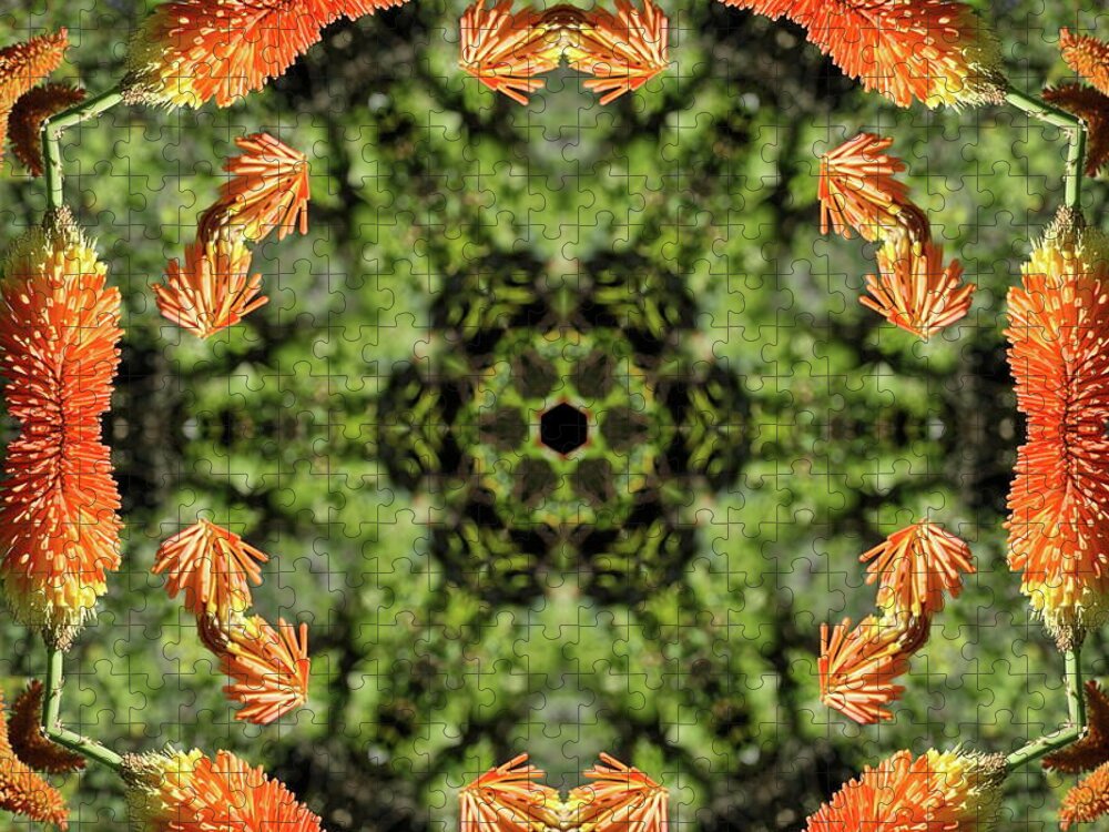 Red Hot Poker Jigsaw Puzzle featuring the photograph Red Hot Poker in Kaleidoscope II by Mingming Jiang