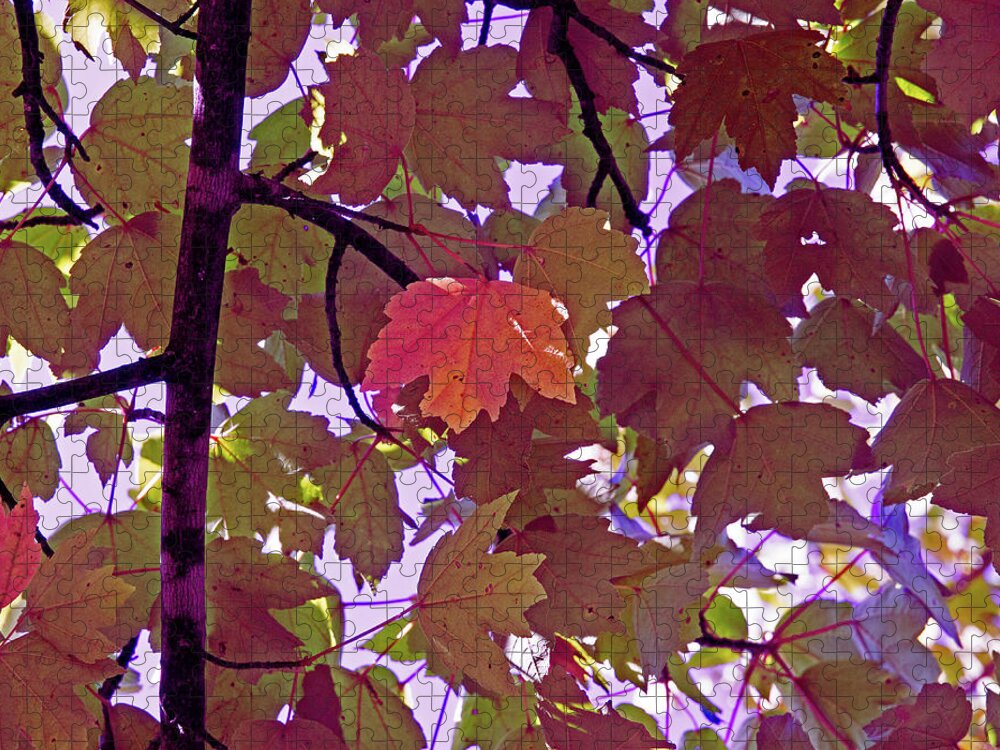Memphis Jigsaw Puzzle featuring the digital art Red Leaves On Purple by David Desautel