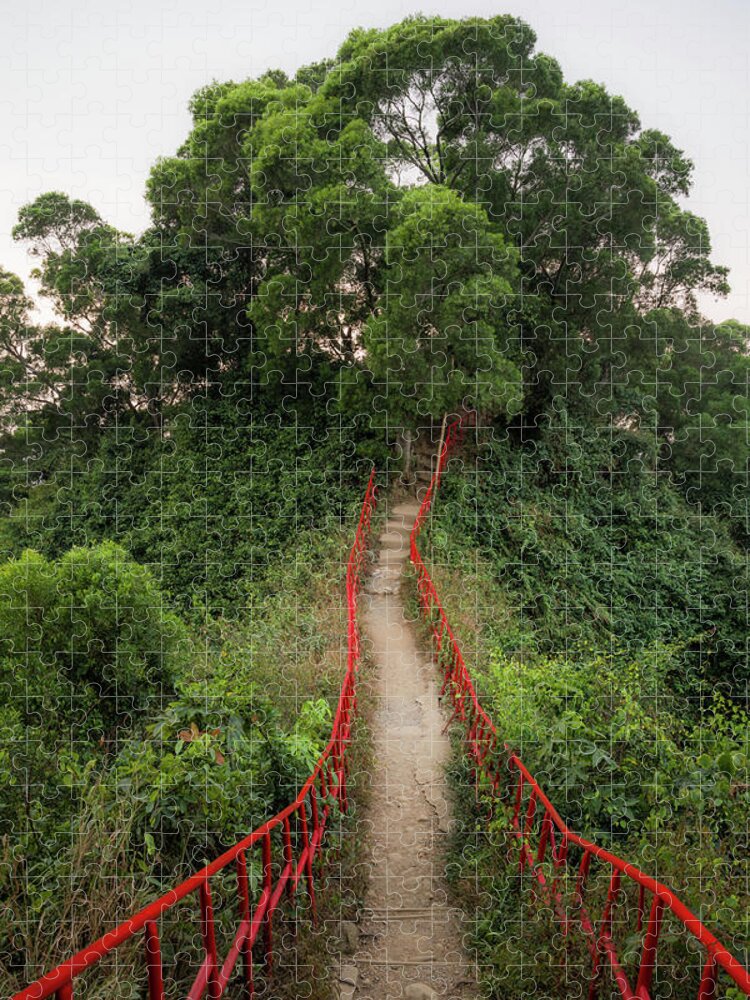 Subtropical Forest Jigsaw Puzzle featuring the photograph Red Rails by Alexander Kunz