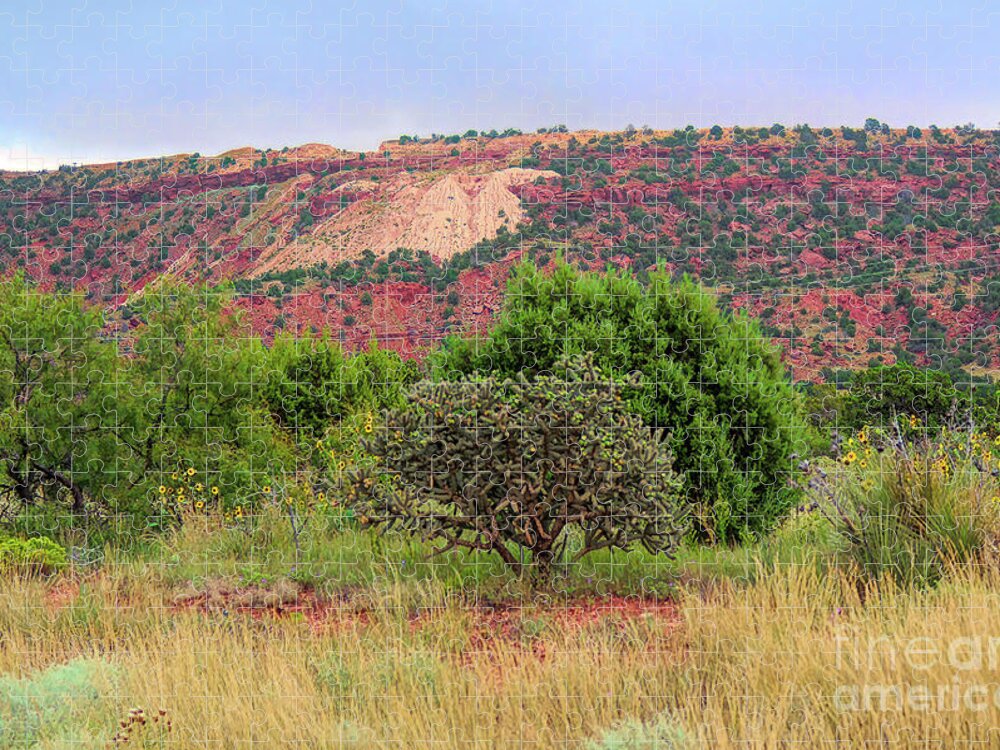 Landscape Jigsaw Puzzle featuring the photograph Red Terrain - New Mexico by Diana Mary Sharpton