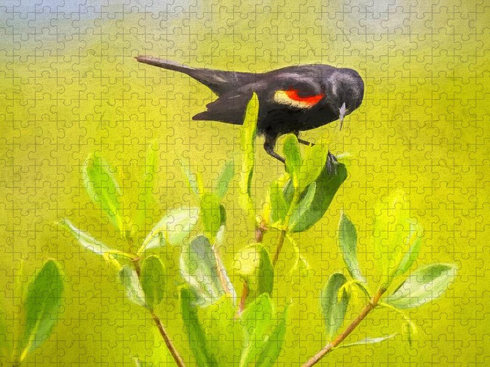 Oil Painting Jigsaw Puzzle featuring the photograph Red-Winged Blackbird by Susan Rydberg