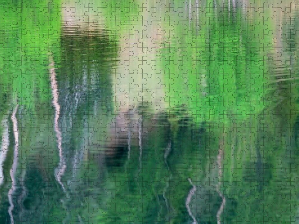 Water Jigsaw Puzzle featuring the photograph Reflect by Donald J Gray