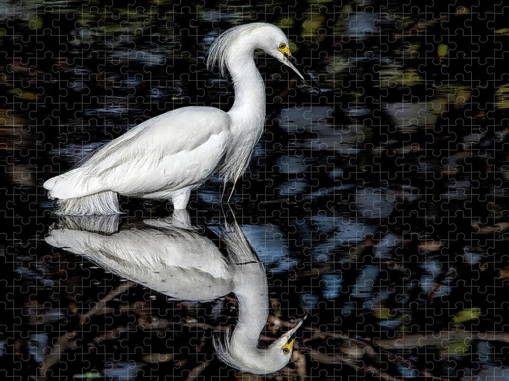 Egret Jigsaw Puzzle featuring the photograph Reflection 1926 by Matthew Lerman