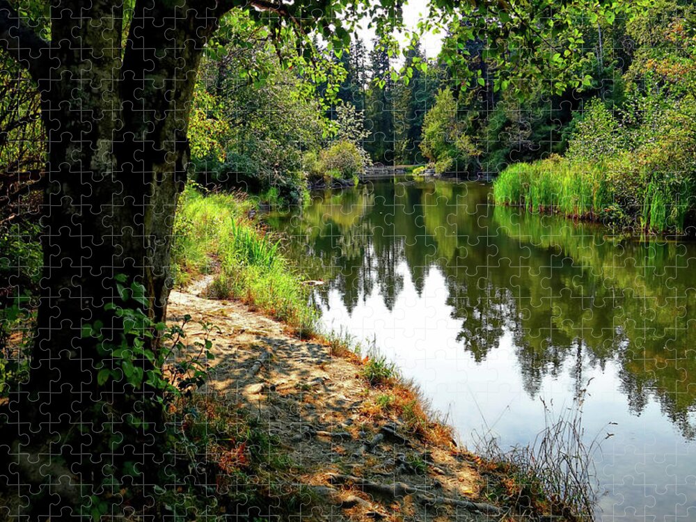 Creek Jigsaw Puzzle featuring the photograph Reflection Along the Creek by Rick Lawler