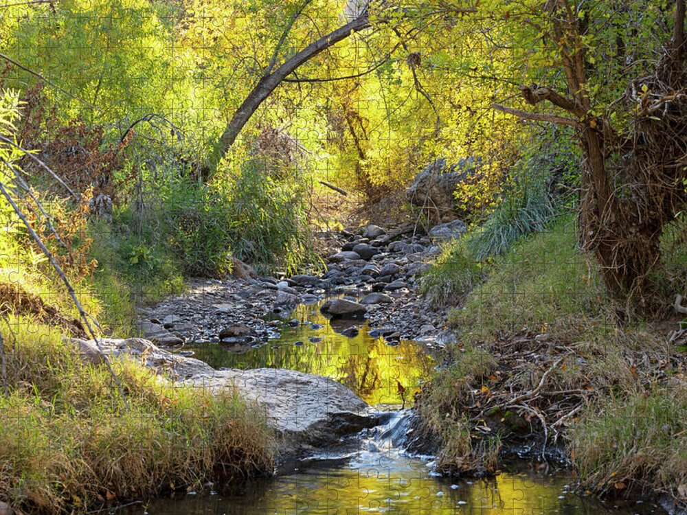 Creek Jigsaw Puzzle featuring the photograph Reflection Along the Creek by Sue Cullumber