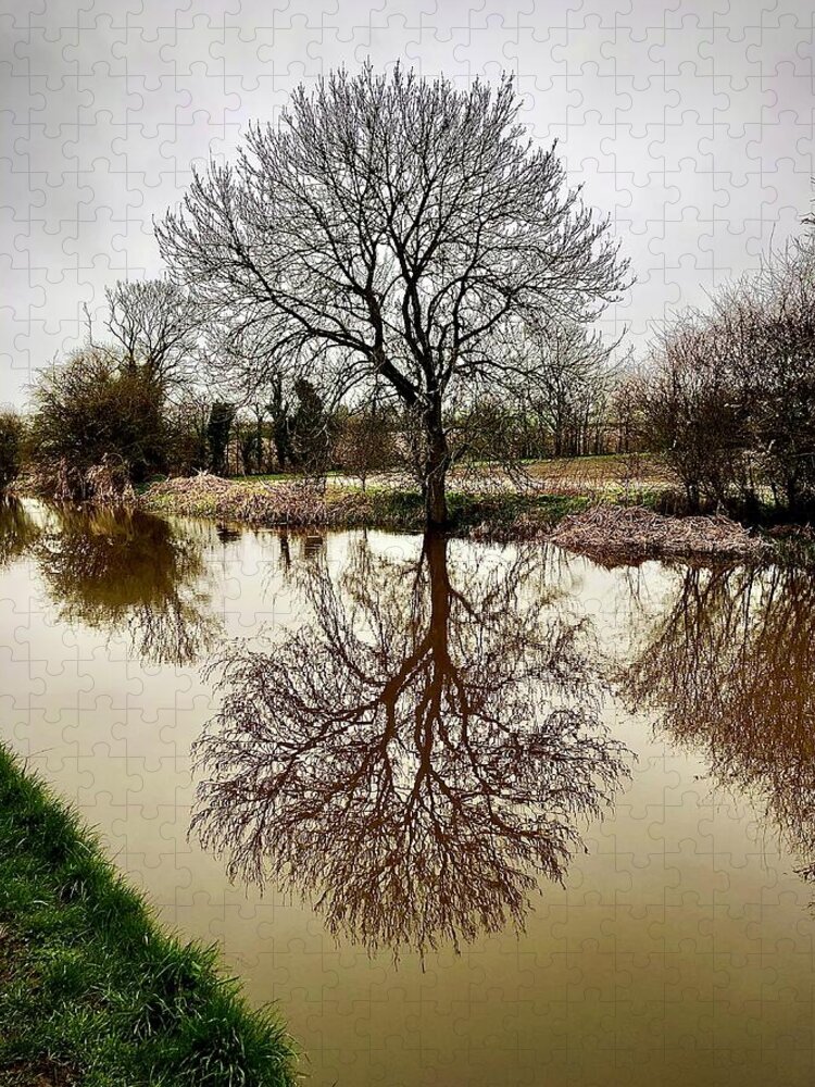 Tree Jigsaw Puzzle featuring the photograph Reflection by Gordon James