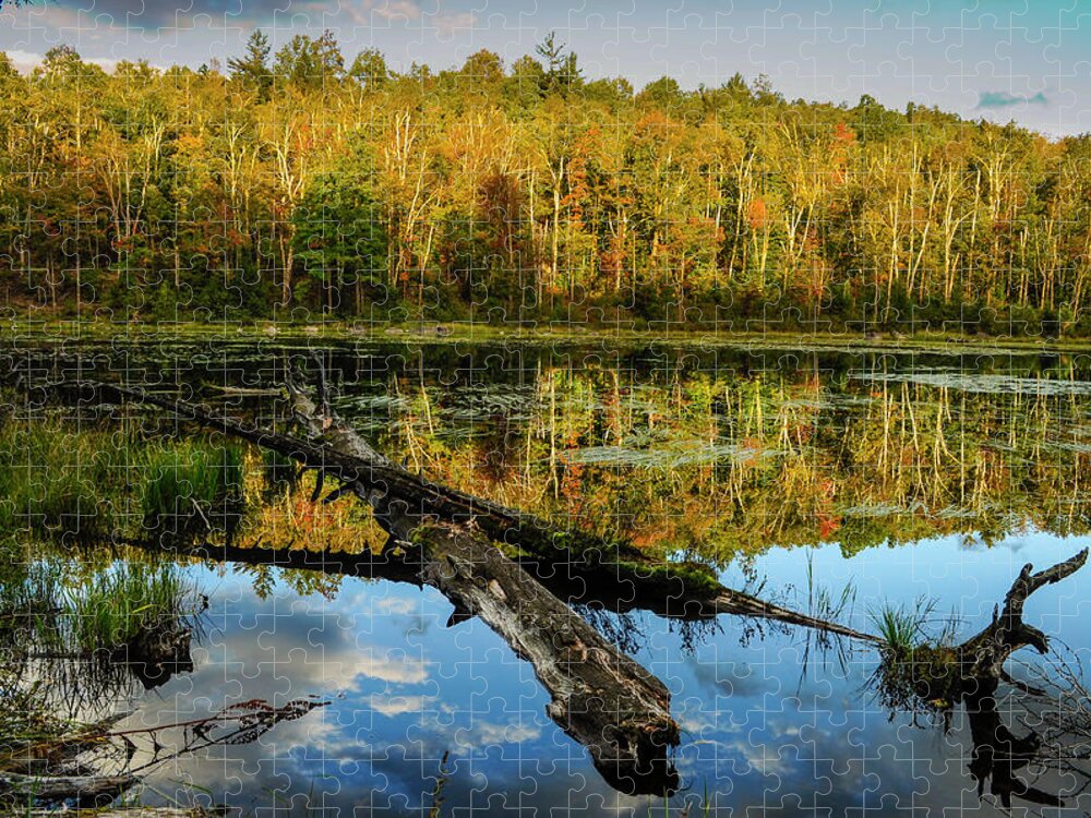 Adirondack Forest Preserve Jigsaw Puzzle featuring the photograph Reflections by Bob Grabowski