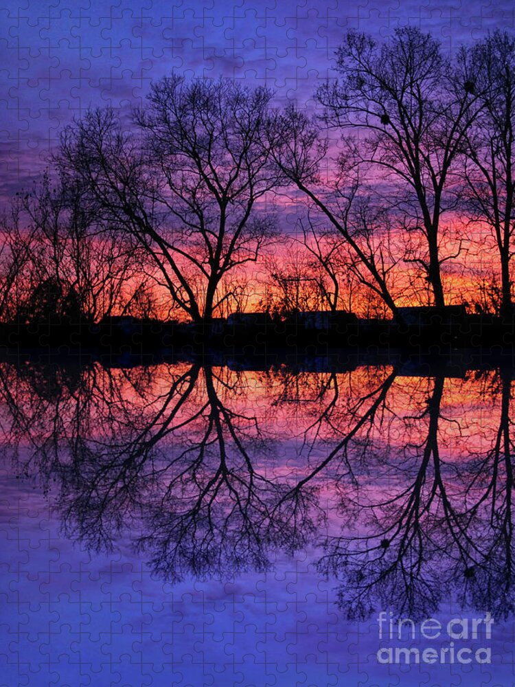 Trees Jigsaw Puzzle featuring the photograph Reflections of a Winter Sunset by Karen Adams