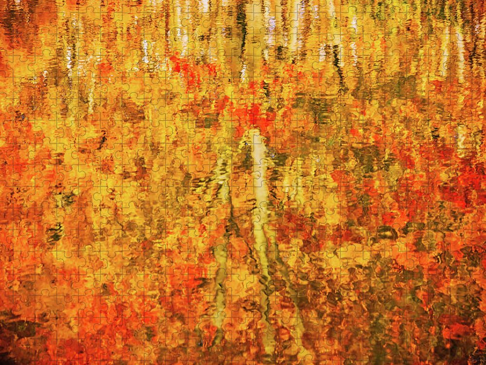 Abstract Jigsaw Puzzle featuring the photograph Reflections of Fall by Rick Furmanek
