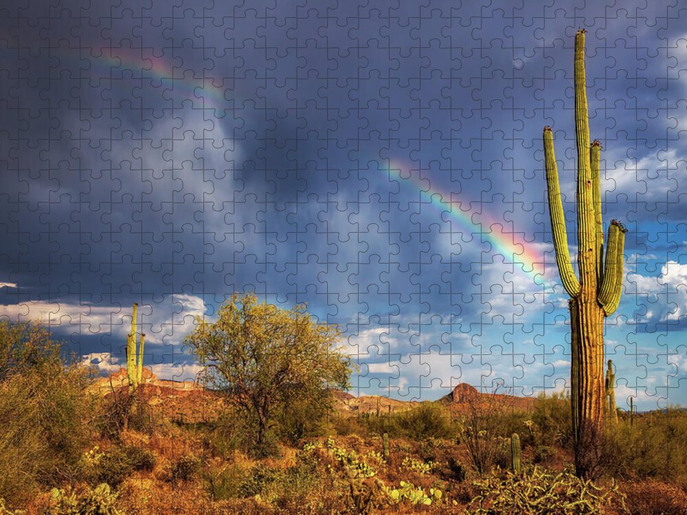 Arizona Jigsaw Puzzle featuring the photograph Respite From The Storm by Rick Furmanek