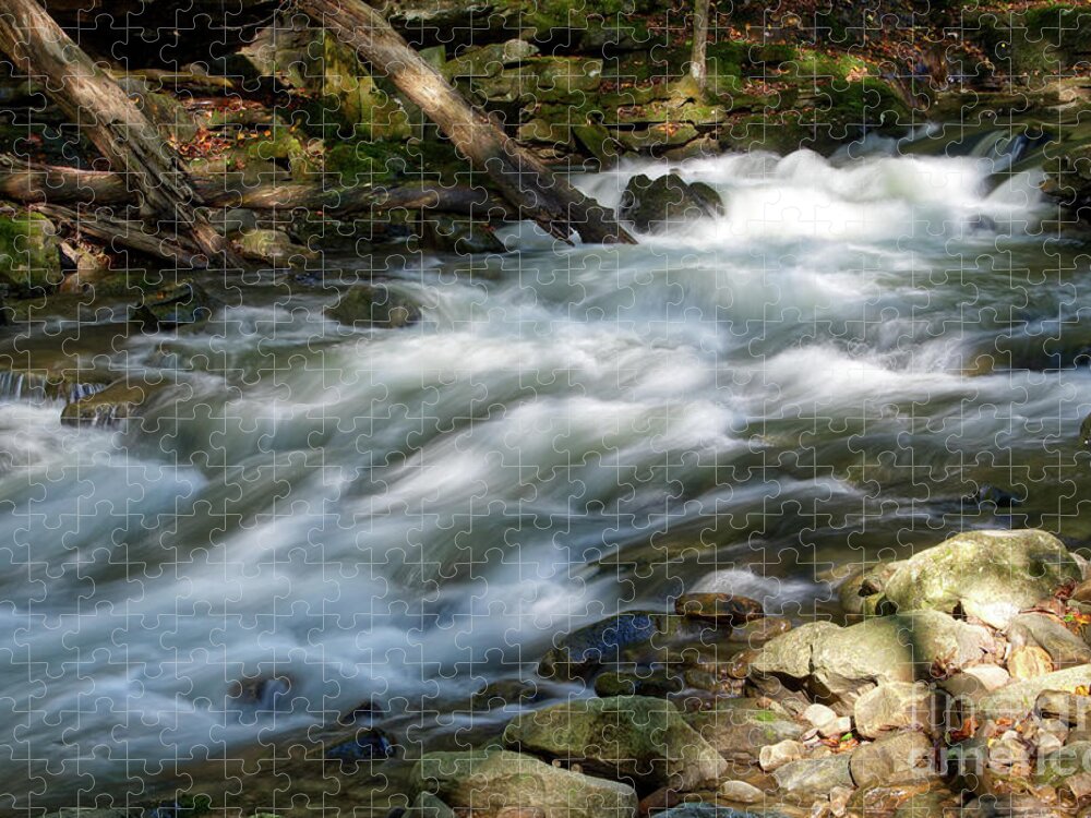 Cumberland Plateau Jigsaw Puzzle featuring the photograph Richland Creek 21 by Phil Perkins