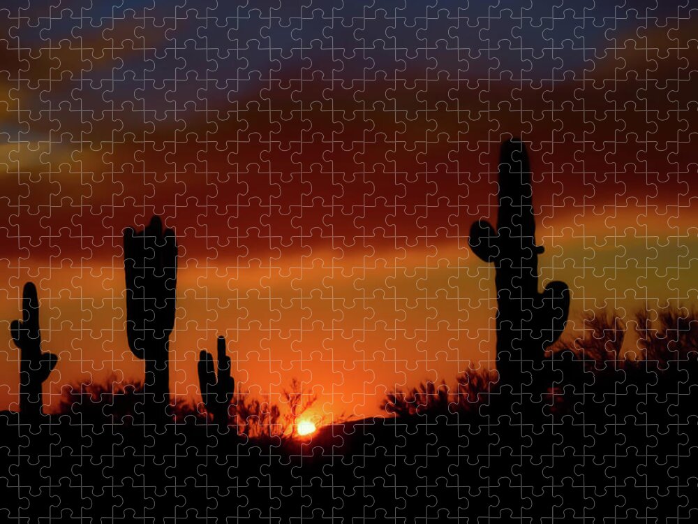 Sunset In The Sonoran Reserve Jigsaw Puzzle featuring the photograph Riders View by Jake Walker