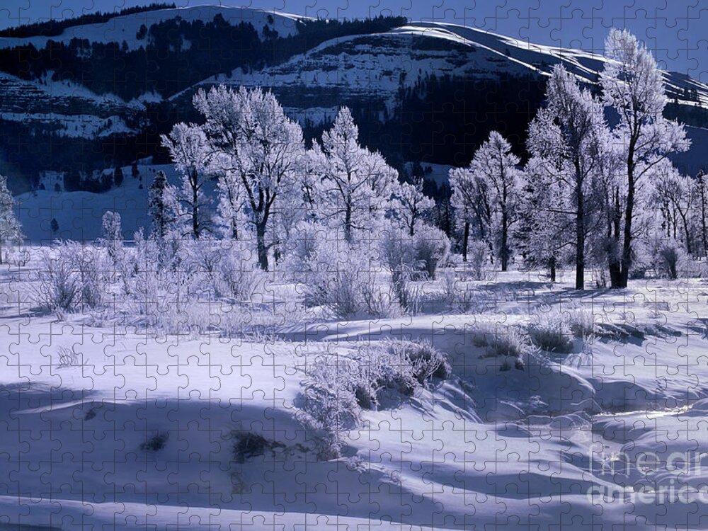 Dave Welling Jigsaw Puzzle featuring the photograph Rime Ice On Trees Lamar Valley Yellowstone National Park by Dave Welling