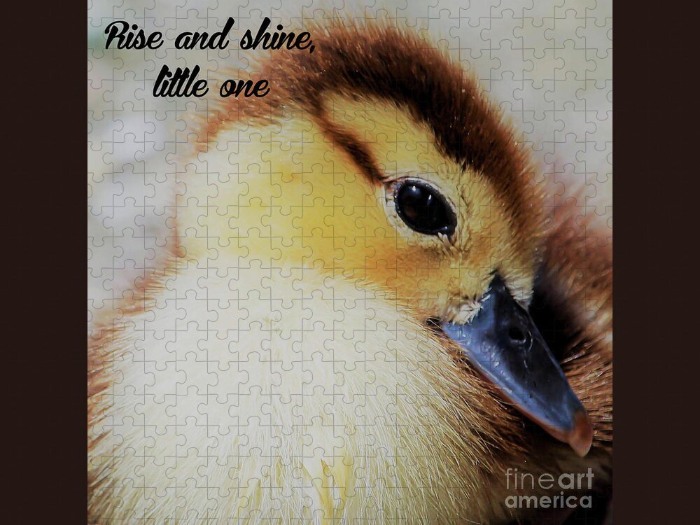 Duckling Jigsaw Puzzle featuring the photograph Rise and shine, little one by Joanne Carey