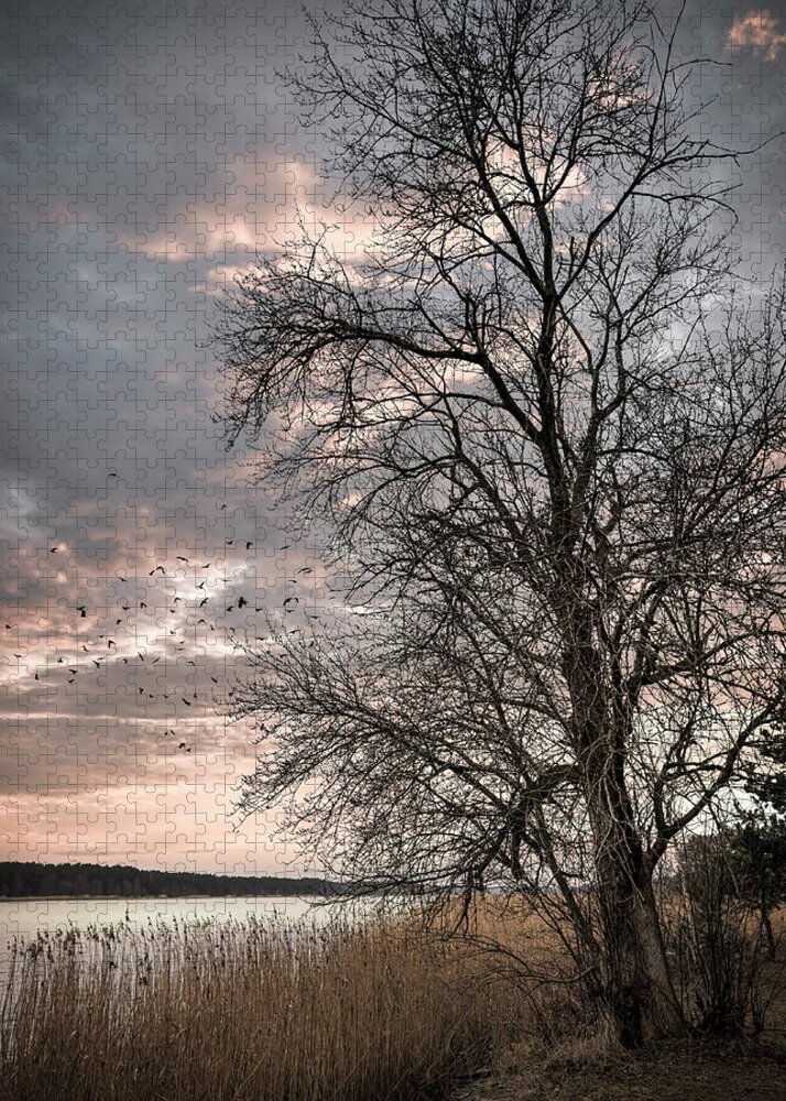 Riverside Jigsaw Puzzle featuring the photograph River Watchman Latvia by Aleksandrs Drozdovs