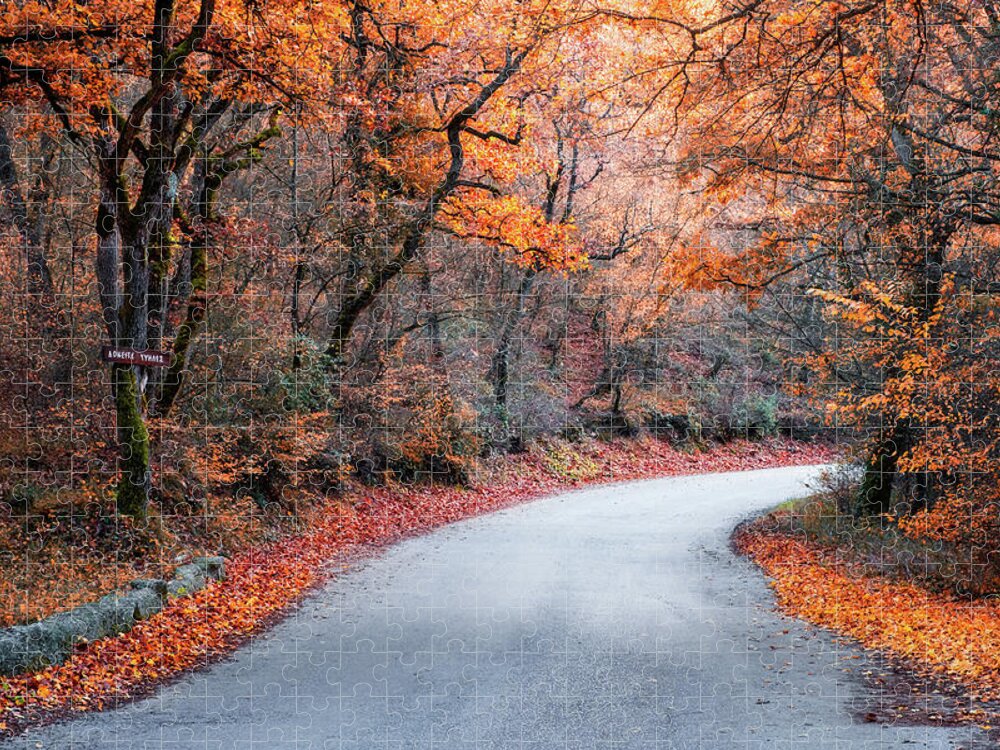 Foliage Jigsaw Puzzle featuring the photograph Road in the Forest with Autumn Colors by Alexios Ntounas