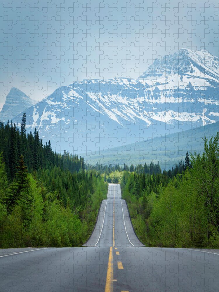 Alberta Jigsaw Puzzle featuring the photograph Road lined with trees leading to high rocky mountains by Rick Deacon