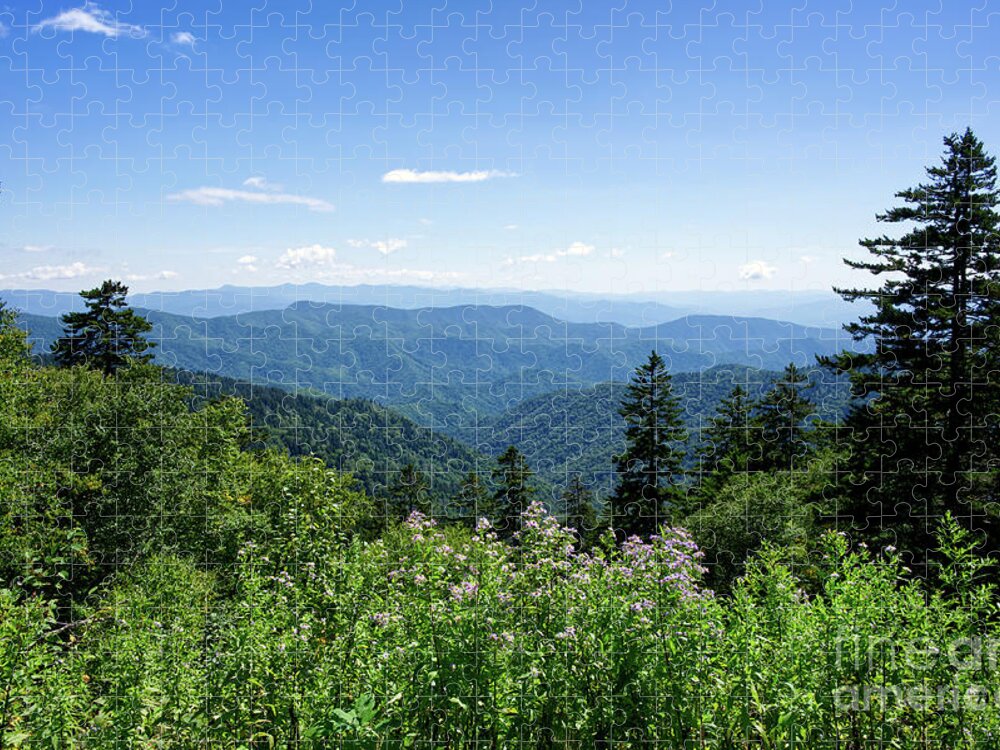 Tennessee Jigsaw Puzzle featuring the photograph Roadside Beauty by Phil Perkins