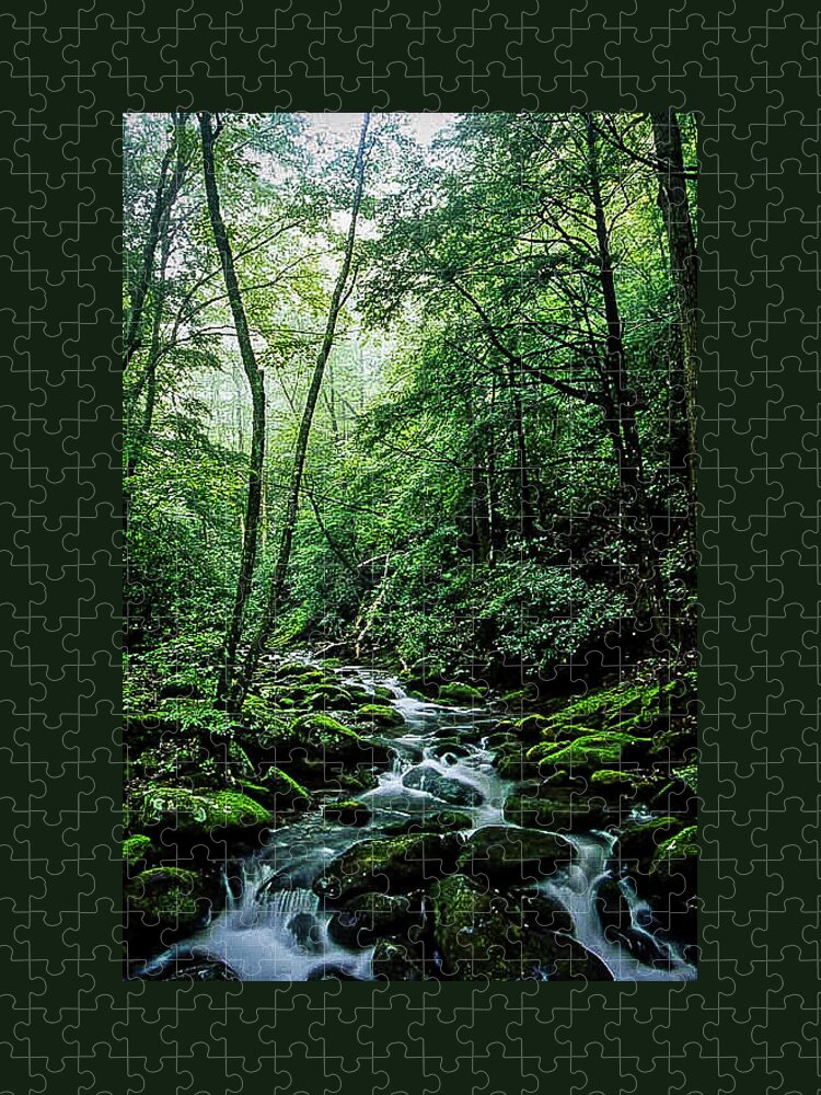 Smokies Jigsaw Puzzle featuring the photograph Roaring Fork Nature Trail of the Smokies by James C Richardson