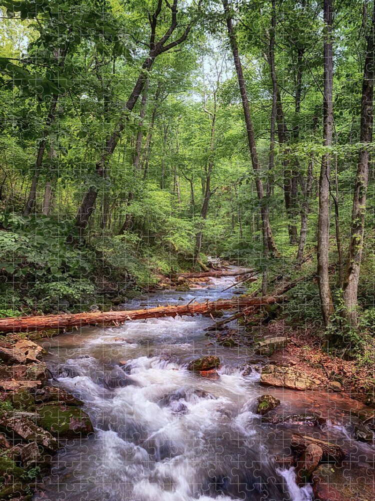 Roaring Run Jigsaw Puzzle featuring the photograph Roaring Run Creek - Eagle Rock Virginia by Susan Rissi Tregoning