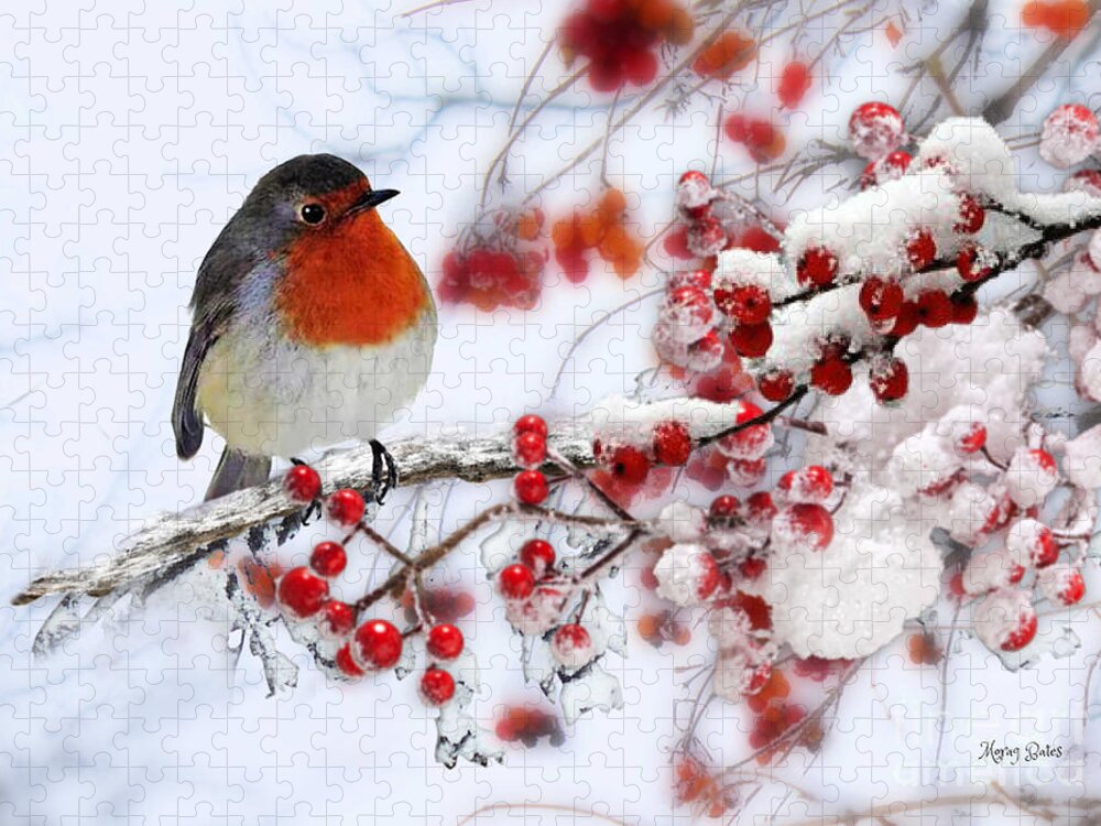 Robin On Red Berries Jigsaw Puzzle featuring the pyrography Robin and Berries by Morag Bates