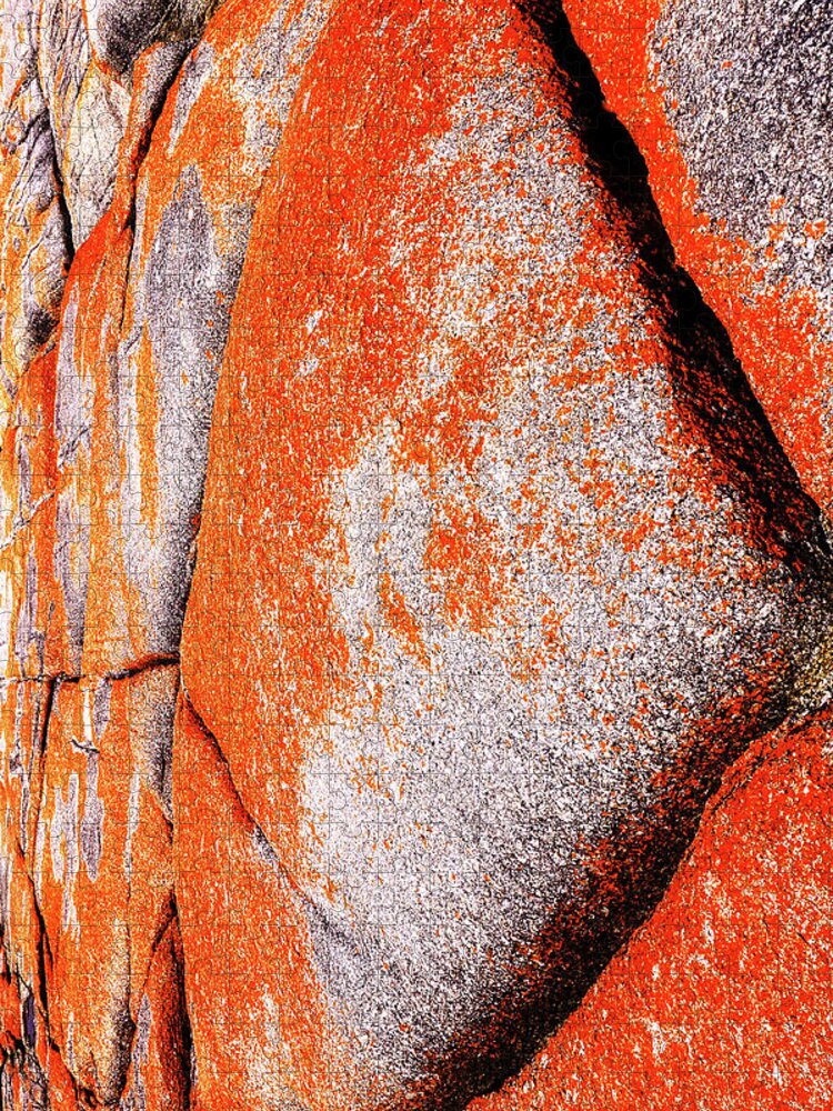 Rock Jigsaw Puzzle featuring the photograph Rock Abstracts - Bay of Fires 2 by Lexa Harpell