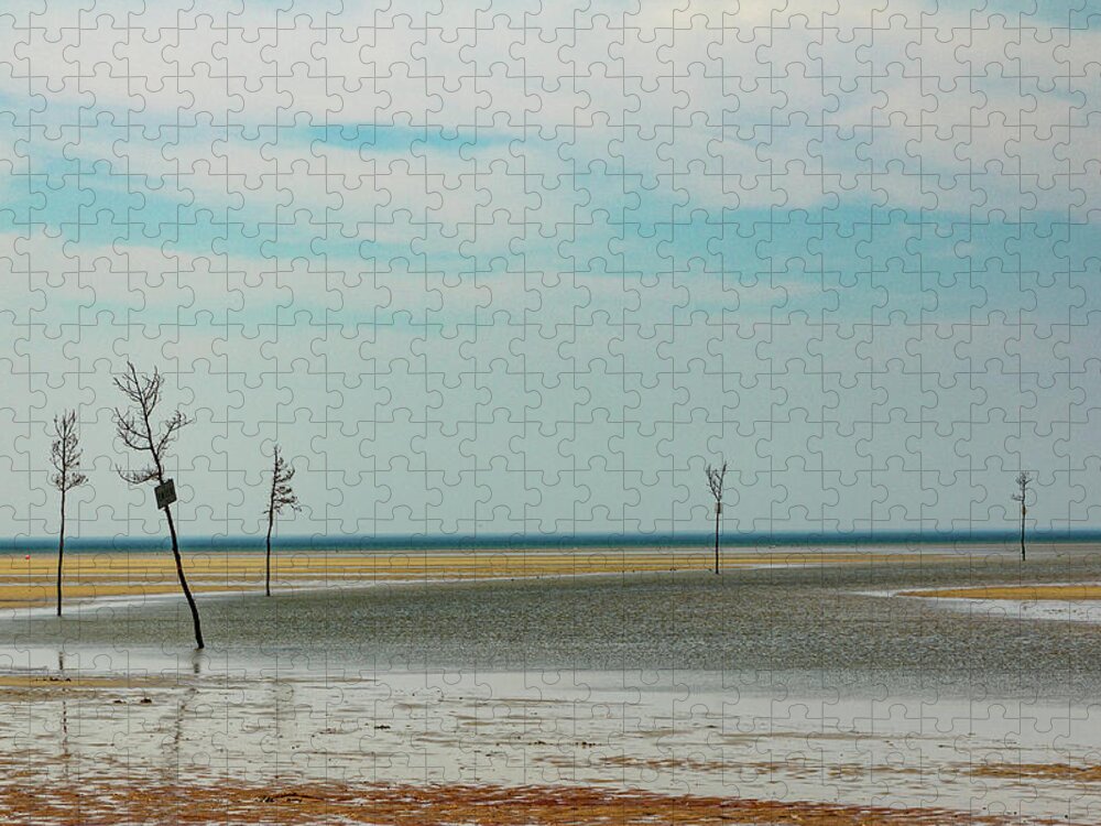 Rock Jigsaw Puzzle featuring the photograph Rock Harbor Beach Tree Signs by Denise Kopko