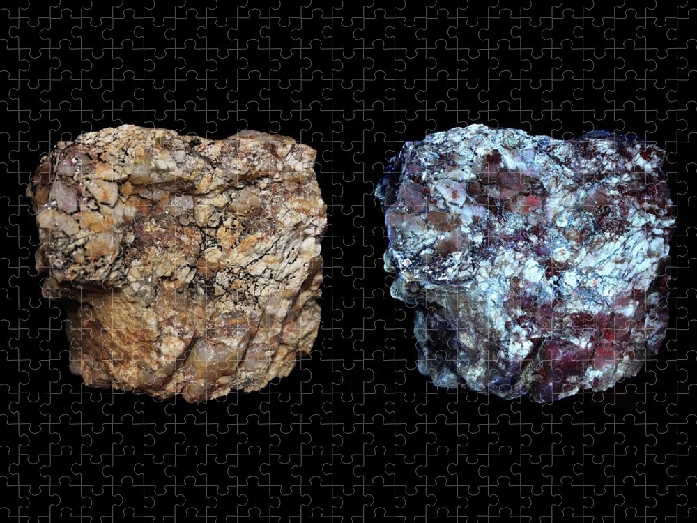 Rock Jigsaw Puzzle featuring the photograph Rock3 Compare by Shane Bechler