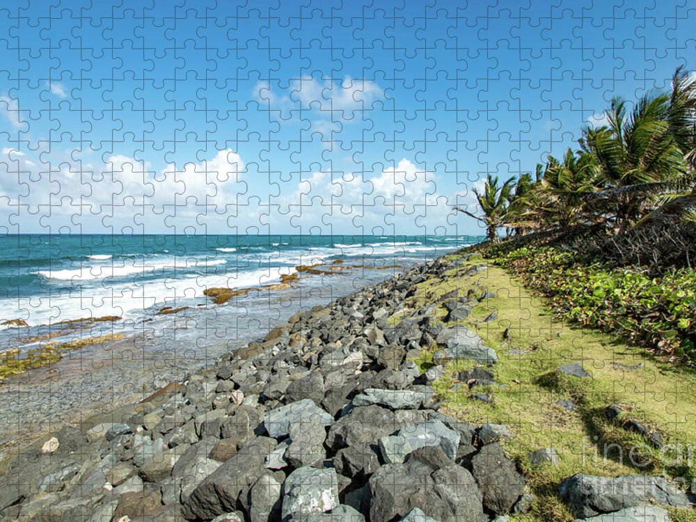 Palm Trees Jigsaw Puzzle featuring the photograph Rocky Coastline, Old San Juan, Puerto Rico by Beachtown Views