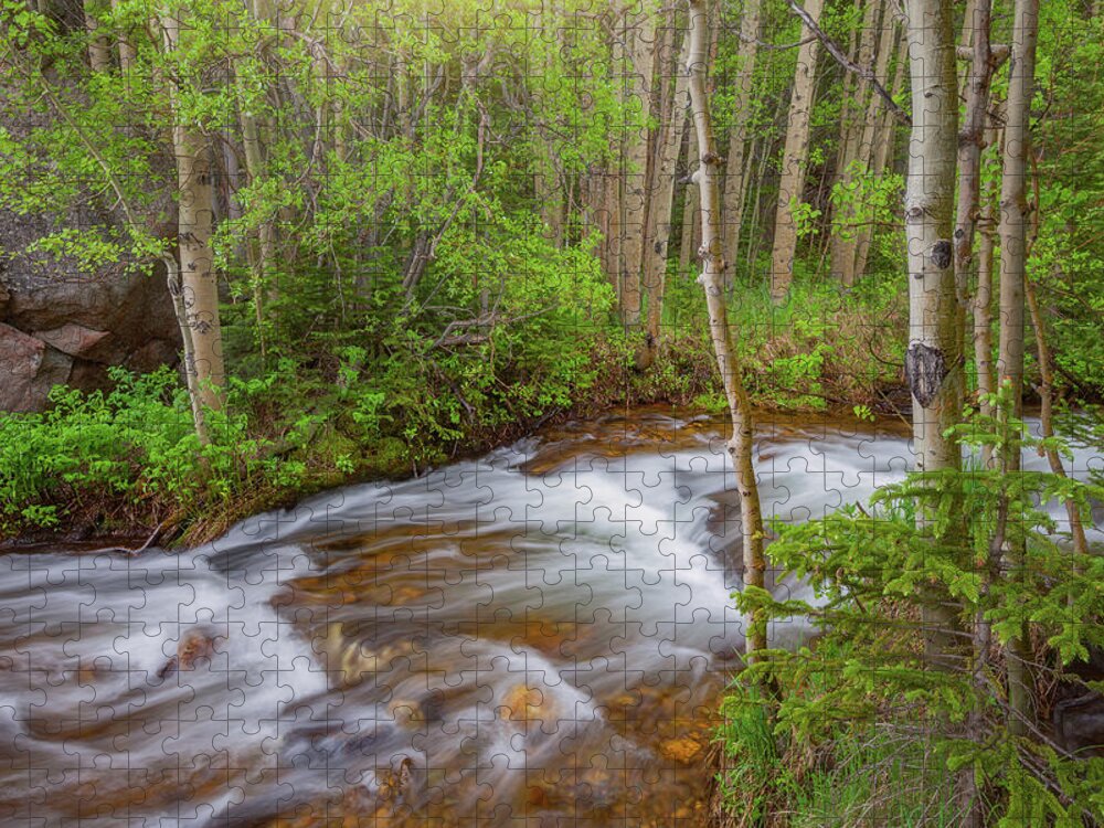 Stream Jigsaw Puzzle featuring the photograph Rocky Mountain Stream by Darren White