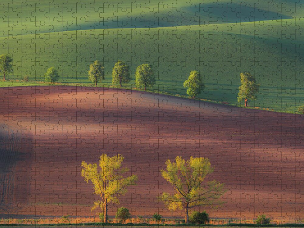 Rolling Fields Jigsaw Puzzle featuring the photograph Rolling fields by Piotr Skrzypiec