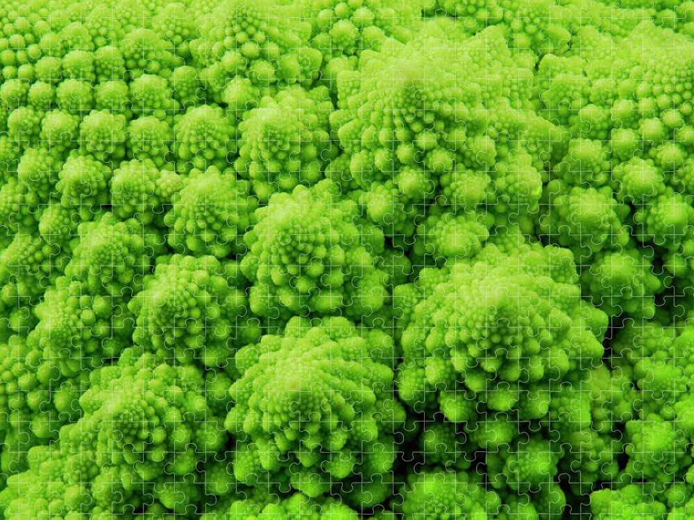 Abstract Jigsaw Puzzle featuring the photograph Romanesco Broccoli by Severija Kirilovaite