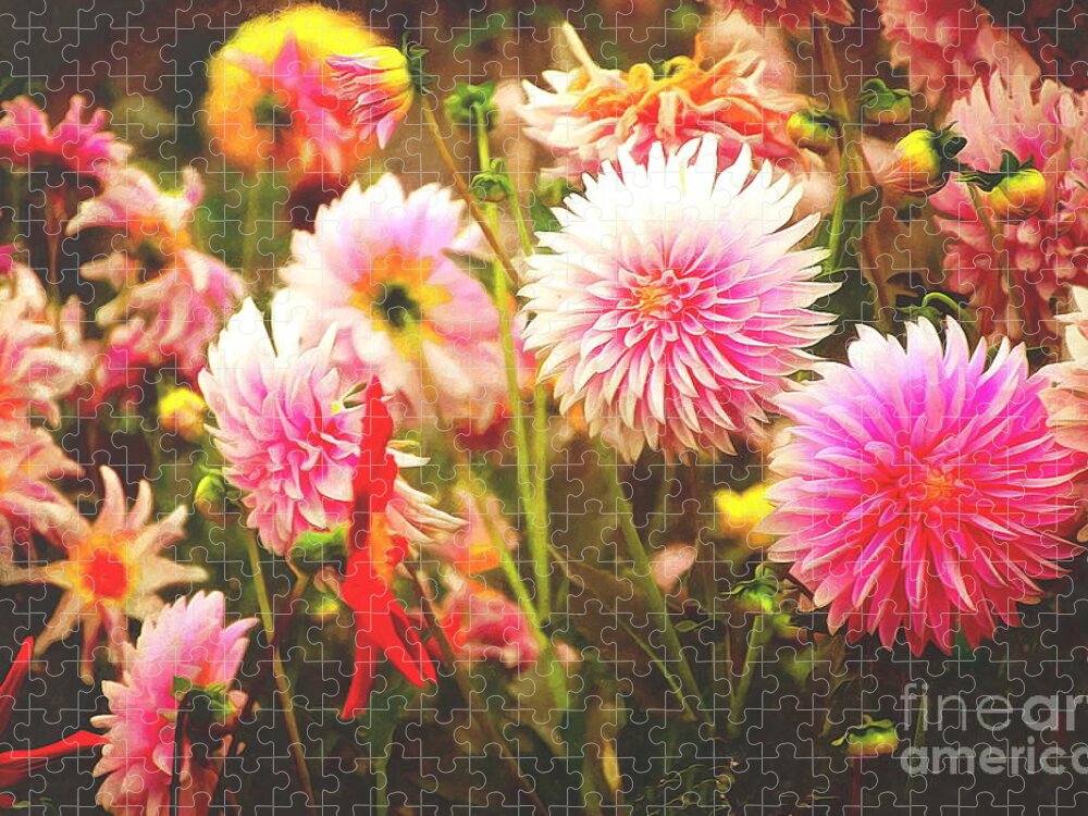 Dahlia Jigsaw Puzzle featuring the photograph Romantic Pink Dahlia Garden by Sea Change Vibes