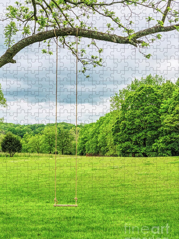 Swing Jigsaw Puzzle featuring the photograph Rope Swing by Jennifer White