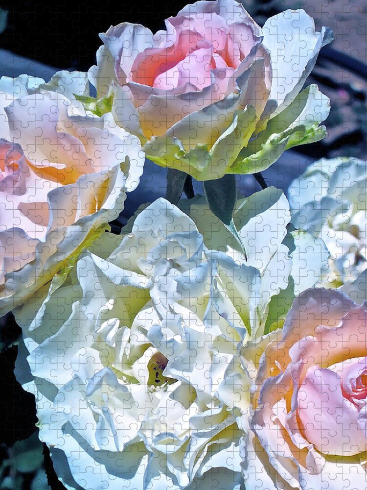 Flowers Jigsaw Puzzle featuring the photograph Rose 59 by Pamela Cooper