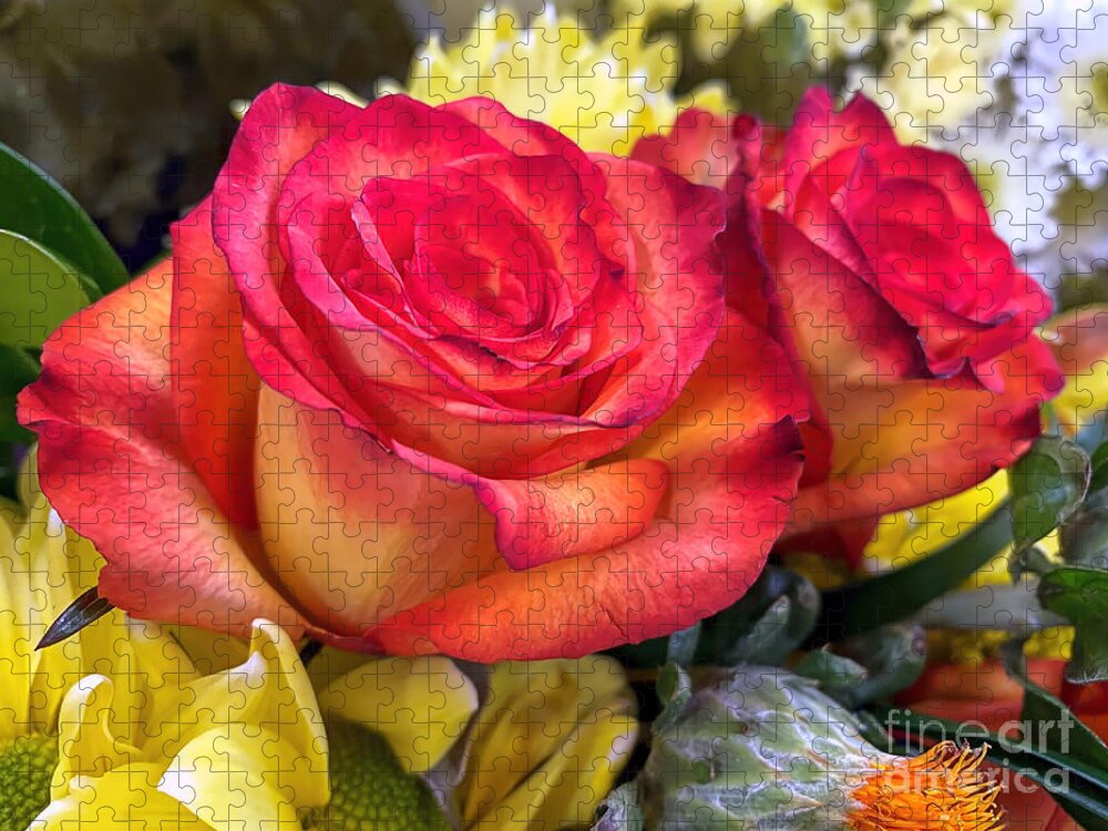 Roses Jigsaw Puzzle featuring the photograph Rose Bouquet by Janice Drew