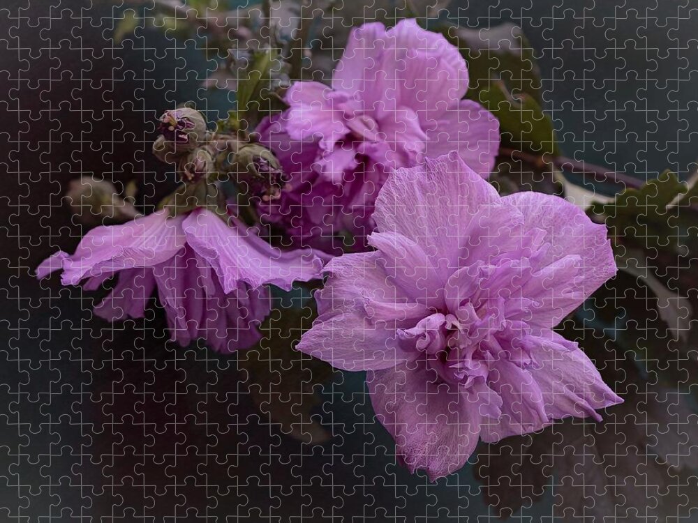 Rose Of Sharon Jigsaw Puzzle featuring the photograph Rose of Sharon Trio by Cheri Freeman