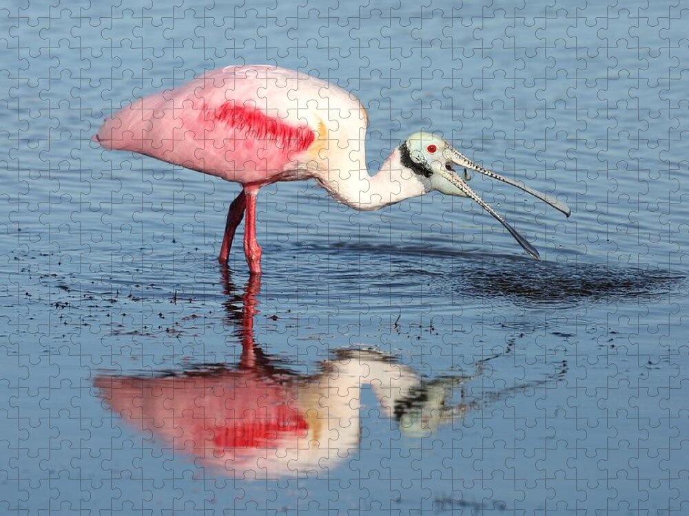 Roseate Spoonbill Jigsaw Puzzle featuring the photograph Roseate Spoonbill 17 by Mingming Jiang