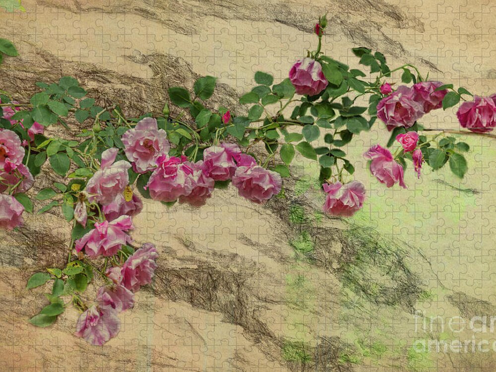Roses Jigsaw Puzzle featuring the photograph Roses Branching Out by Elaine Teague