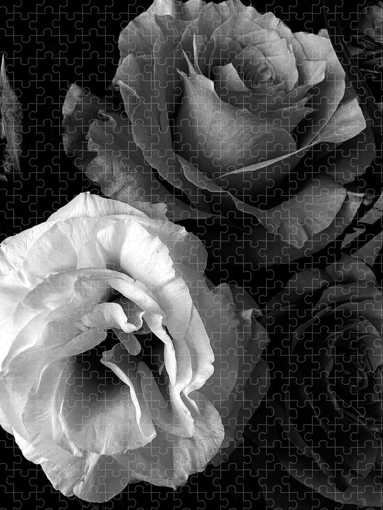 Roses Jigsaw Puzzle featuring the photograph Roses in Black and White by Lorraine Devon Wilke