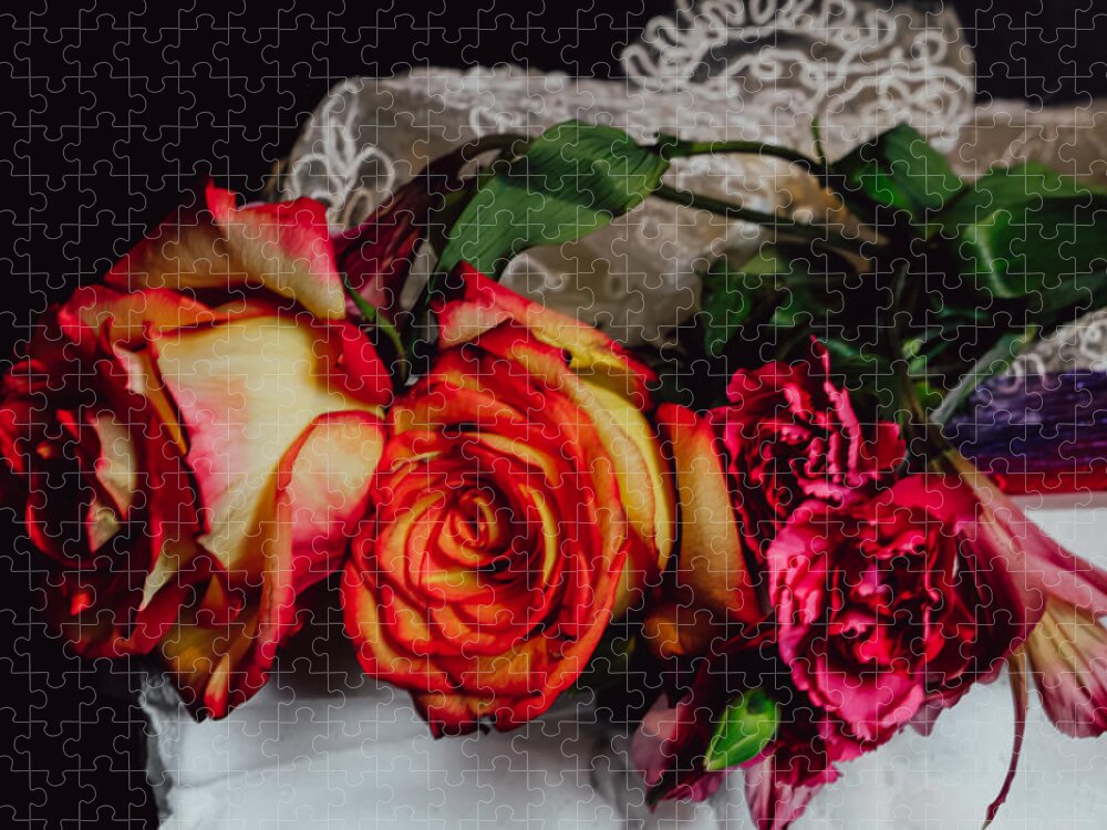 Flowers Roses Canada France Utah Wisconsin Door County Michigan Nebraska Oakland A Beverly Hills Hollywood Washington Dc Jigsaw Puzzle featuring the photograph Roses by Windshield Photography