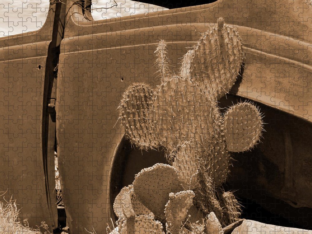 Desert Cactus Jigsaw Puzzle featuring the photograph Route 66 - Desert Cactus by Mike McGlothlen