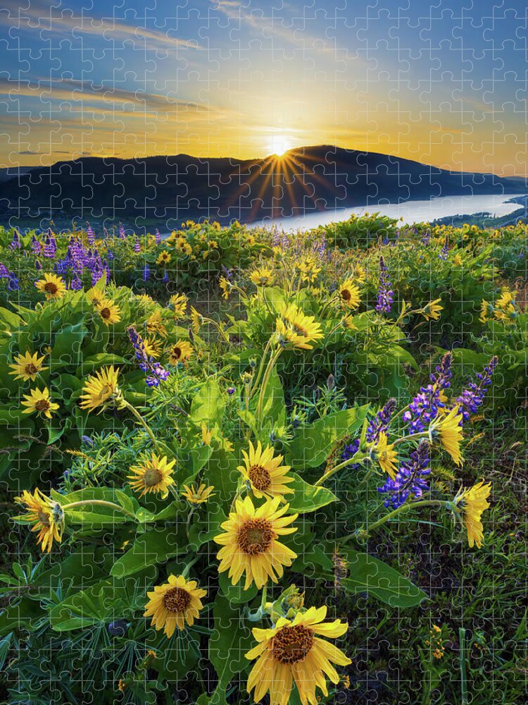 Oregon Jigsaw Puzzle featuring the photograph Rowena Sunrise by Patrick Campbell