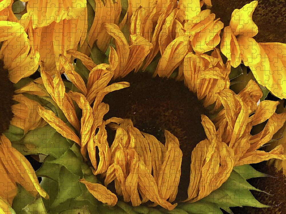 Daisy Jigsaw Puzzle featuring the painting Rubino Brand Sunflower Photo Bouquet by Tony Rubino