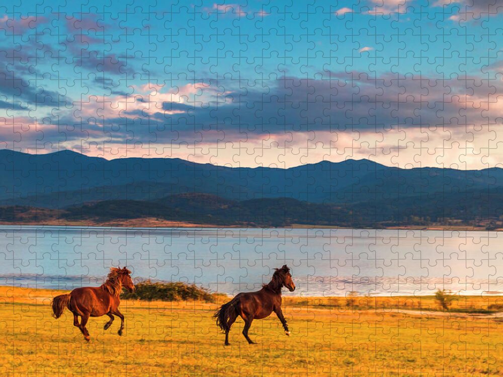 Animal Jigsaw Puzzle featuring the photograph Running Horses by Evgeni Dinev